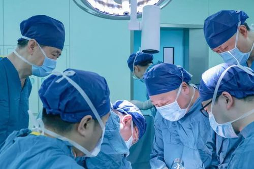 Lần đầu ghép gan lợn biến đổi gen sang người