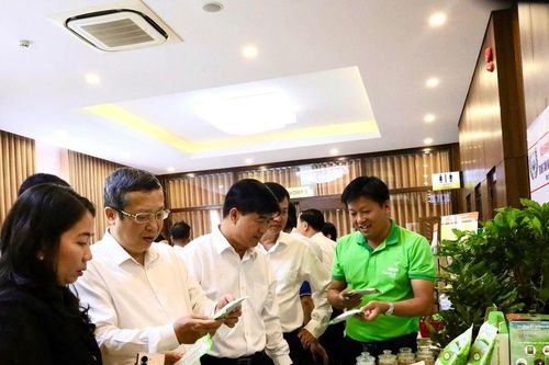 Duyên hải Nam Trung Bộ - Tây Nguyên: Xây dựng nền trồng trọt hiệu quả, thích ứng và bền vững
