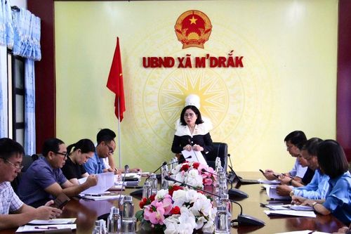 Đắk Lắk: Đoàn ĐBQH tỉnh khảo sát việc thực hiện các Chương trình Mục tiêu quốc gia tại xã M'Drắk