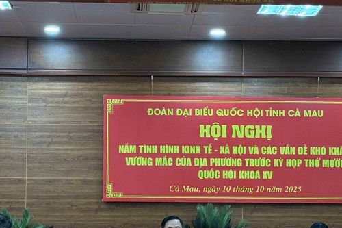Cà Mau: Đoàn ĐBQH tỉnh nắm bắt tình hình kinh tế - xã hội trước Kỳ họp thứ Mười, Quốc hội Khóa XV