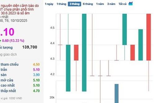 Cổ phiếu của Garmex Sài Gòn đột ngột 'tím' sau chuỗi đi ngang kéo dài