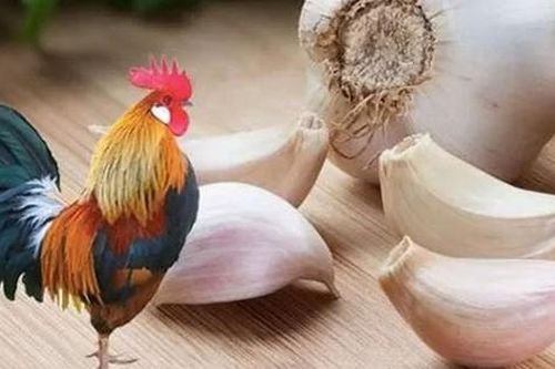 Công dụng bất ngờ của vỏ tỏi trong cuộc sống hàng ngày, ai biết rồi liền vội đi gom vỏ tỏi
