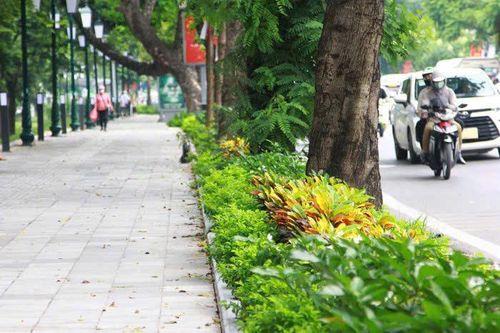 Mới: Chính thức cấm thu tiền vào cửa công viên từ 9-10