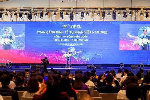 Thúc đẩy mạnh mẽ mô hình 'Công – tư đồng kiến quốc'