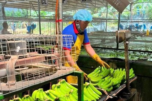 Bài 2: Thách thức trên con đường mới