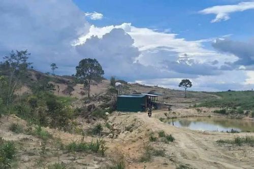 Đắk Lắk: Xử lý 4 trường hợp lấn chiếm đất lâm nghiệp trái phép