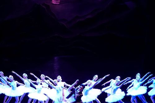 Công diễn vũ kịch 'Hồ Thiên Nga'