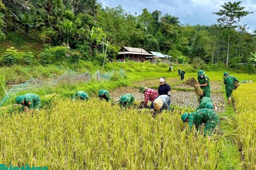 Hỗ trợ phụ nữ vùng biên thu hoạch vụ mùa