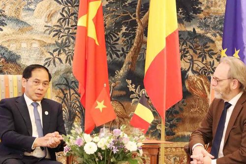 Đề nghị Bỉ thúc đẩy EC gỡ thẻ vàng IUU đối với hàng thủy sản Việt Nam