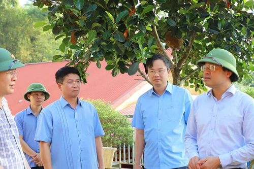 Kiểm tra trường học sau bão, Bí thư Thái Nguyên yêu cầu di chuyển vị trí, xây trường mới