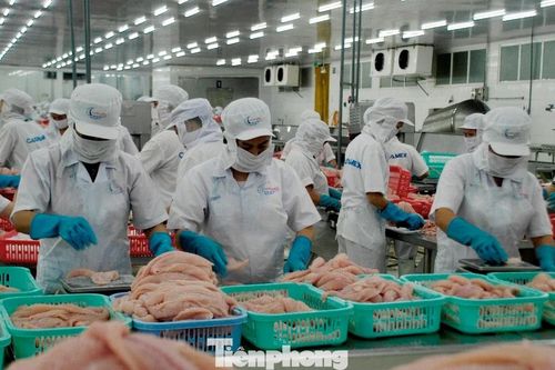Nếu không vì người lao động, quê hương, có lẽ doanh nghiệp đã dừng lại