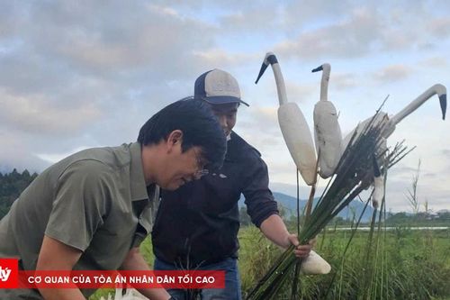 Bắt quả tang 2 người đàn ông bẫy bắt chim hoang dã