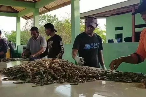 Indonesia khẳng định tôm xuất khẩu sang Mỹ an toàn trước lo ngại về phóng xạ