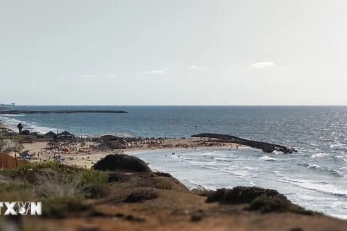 Israel: Đóng cửa bãi biển phía Bắc Tel Aviv sau khi phát hiện cá mập