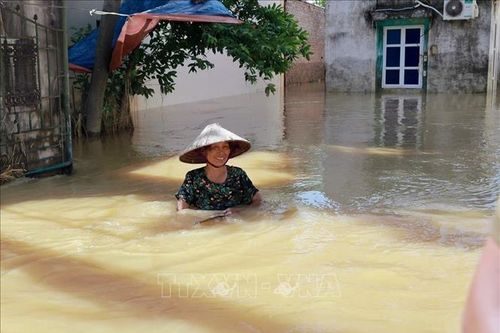Bộ Y tế hướng dẫn người dân vùng lũ cách vệ sinh nguồn nước, phòng dịch bệnh