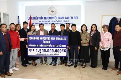 Nghĩa đồng bào của cộng đồng người Việt tại Lào, Mỹ và CH Séc