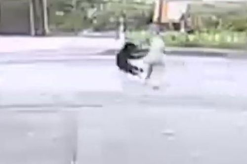 Cụ bà bị gấu dữ tấn công giữa đường và cái kết thót tim