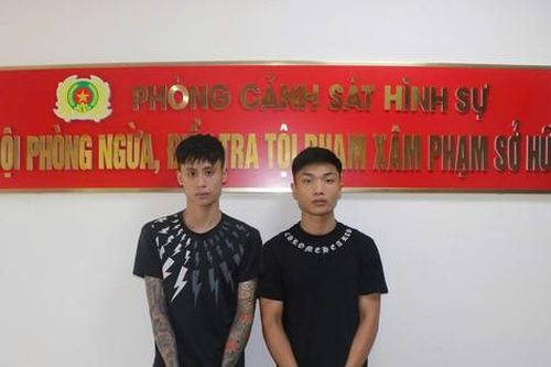 Hải Phòng: Bắt giữ 2 đối tượng gây ra hàng loạt vụ cướp giật