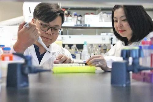 Hai nhà khoa học gốc Việt phát hiện bí ẩn hợp chất chống ung thư trong tự nhiên