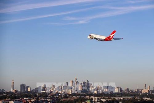 5 triệu khách hàng của hãng hàng không Qantas bị lộ hồ sơ cá nhân