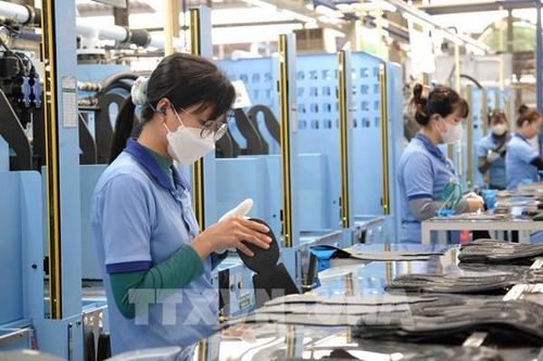 9 tháng, số doanh nghiệp đang hoạt động tại Cần Thơ tăng 40%