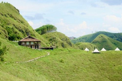 Mê mẩn đồi cỏ xanh rì tại Cao Bằng