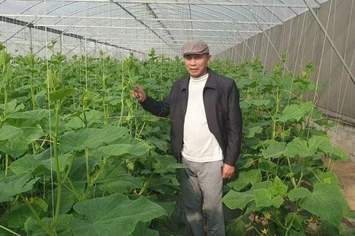 Nhà khoa học của nhà nông