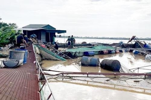 Phường Mão Điền: Khẩn trương khắc phục sự cố gãy, hỏng 13 lồng nuôi cá trên sông