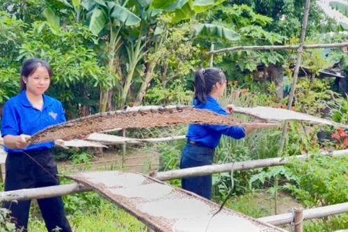 Thanh niên Gia Lai góp sức phát triển du lịch