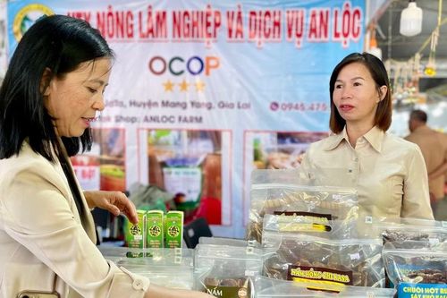 Gia Lai: Triển khai chương trình phát triển thị trường trong nước, kích cầu tiêu dùng