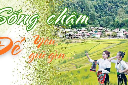 Sống chậm để yêu, để giữ gìn...