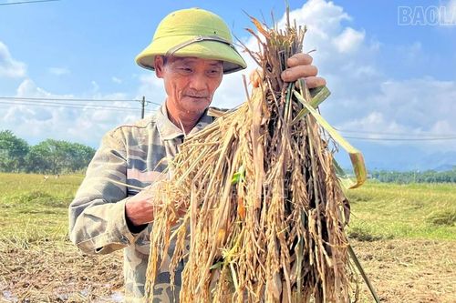 Tằng Loỏng nỗ lực khôi phục vụ mùa sau mưa lũ