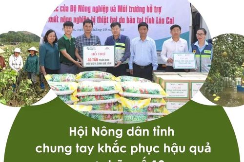 Hội Nông dân tỉnh chung tay khắc phục hậu quả cơn bão số 10