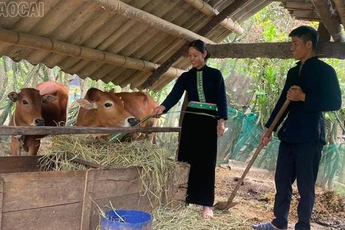 Phụ nữ Dương Quỳ phát huy quyền năng kinh tế