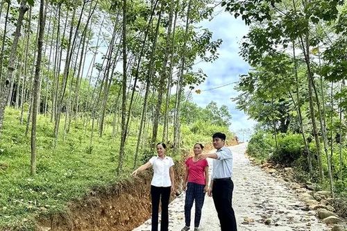 Dốc Đồi Ngồng - con đường từ sức dân