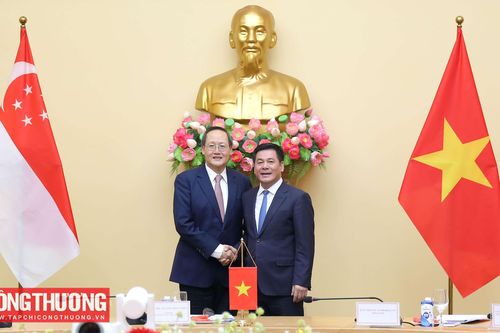 Xem xét thiết lập các hiệp định/thỏa thuận kết nối điện Việt Nam - Malaysia - Singapore trong thời gian tới