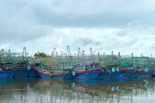 Thiếu nơi neo đậu tàu thuyền tránh trú bão, ngư dân Nghệ An 'kêu cứu'