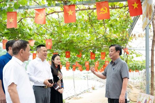 Phó Chủ tịch Quốc hội Lê Minh Hoan: Chính quyền cơ sở phải trở thành 'người tổ chức phát triển' trong nông nghiệp