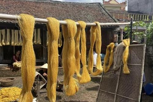 Mang lại doanh thu lớn, HTX, doanh nghiệp quyết theo đuổi sản xuất hữu cơ