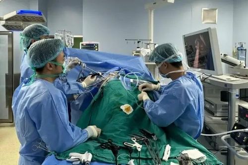 Lần đầu tiên phẫu thuật khối phình khổng lồ động mạch thận