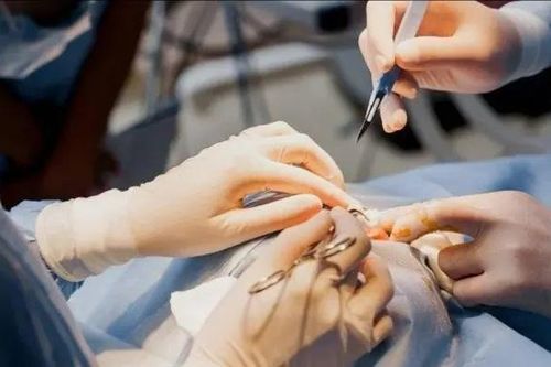 Hiểm họa từ thẩm mỹ chui