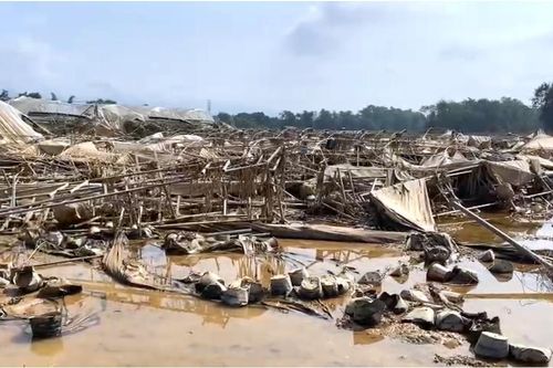 Tổn thất nặng nề, các cơ sở sản xuất, kinh doanh gắng gượng sau hai trận lũ lịch sử