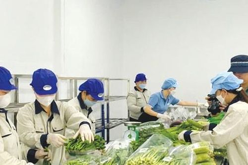 Chào mừng Đại hội Đảng bộ thành phố Hà Nội lần thứ XVIII, nhiệm kỳ 2025 - 2030 Chuyển đổi nông thôn Hà Nội theo hướng xanh, thông minh, tích hợp