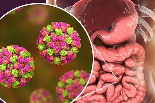 Bé 2 tuổi nhập viện lần 2 vì nhiễm trùng đường ruột tái phát, bác sĩ chỉ rõ nguyên nhân