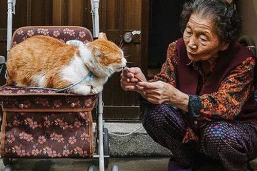 4 'quy luật nhân quả' trong giáo dục con giúp bạn biết trước được tuổi già thảnh thơi hay cô đơn
