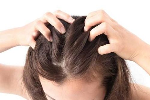 Các bài tập giúp tăng cường tuần hoàn máu đến da đầu