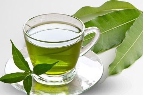 Trà lá xoài – Bí quyết tăng cường chức năng não và trí nhớ