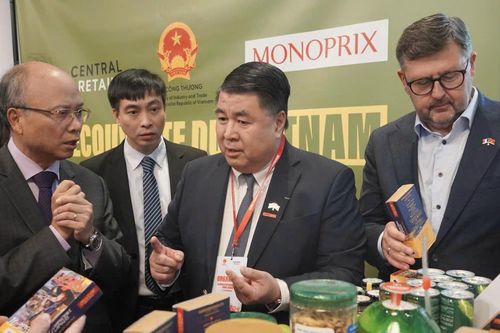 Khai mạc 'Ngày Việt Nam tại Pháp'