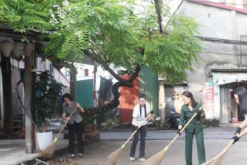 Phường Tây Tựu ra quân 'Ngày Chủ nhật xanh'