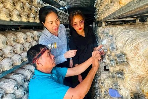 Cán bộ nữ 'truyền lửa' ở vùng miền núi, biên giới